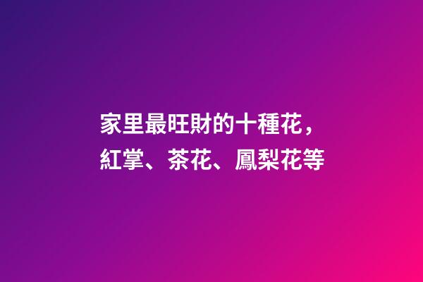 家里最旺財的十種花，紅掌、茶花、鳳梨花等