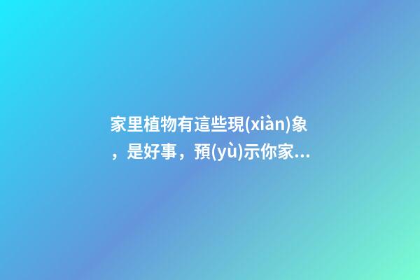 家里植物有這些現(xiàn)象，是好事，預(yù)示你家要發(fā)大財(cái)了！