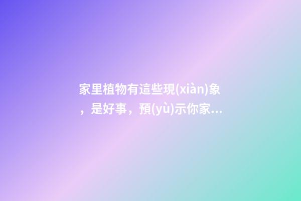 家里植物有這些現(xiàn)象，是好事，預(yù)示你家要發(fā)大財了！