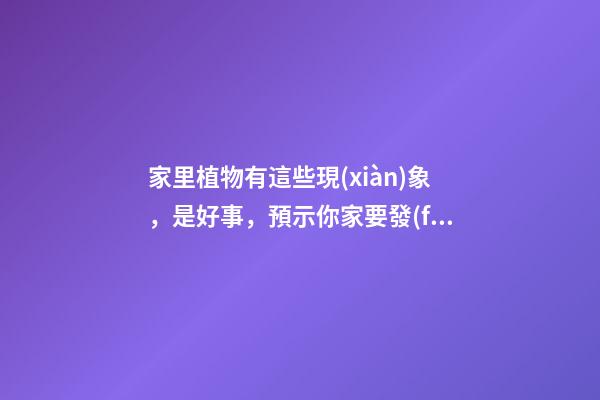 家里植物有這些現(xiàn)象，是好事，預示你家要發(fā)大財了！