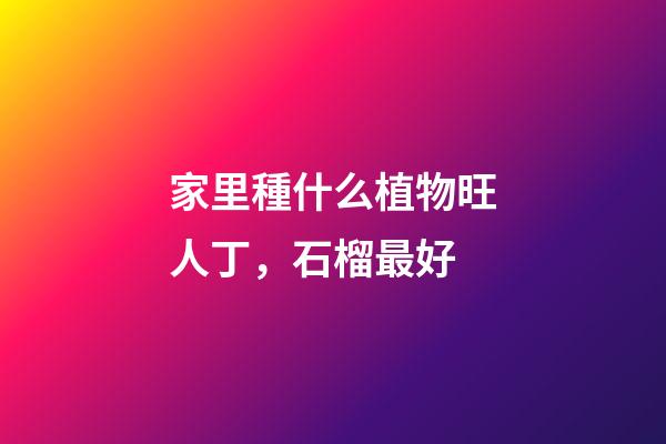 家里種什么植物旺人丁，石榴最好
