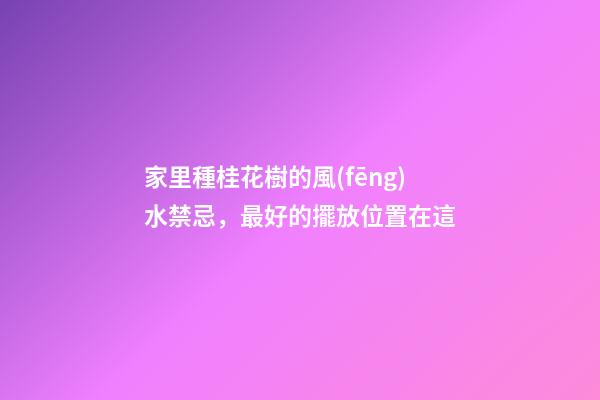 家里種桂花樹的風(fēng)水禁忌，最好的擺放位置在這