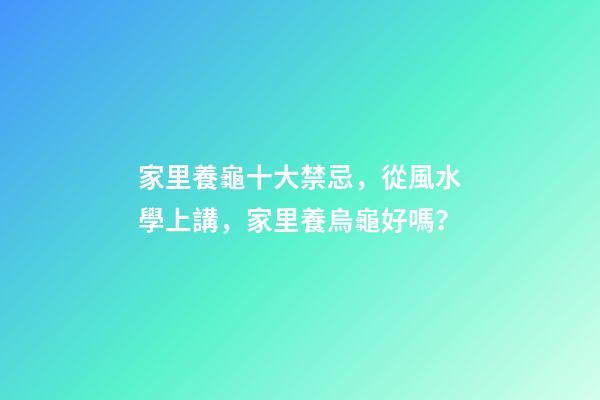 家里養龜十大禁忌，從風水學上講，家里養烏龜好嗎？
