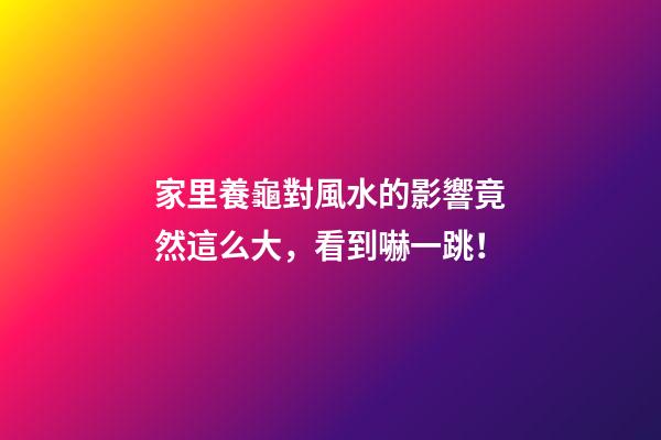 家里養龜對風水的影響竟然這么大，看到嚇一跳！