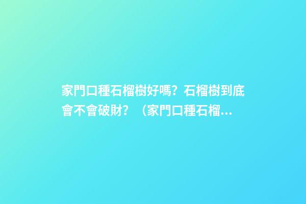 家門口種石榴樹好嗎？石榴樹到底會不會破財？（家門口種石榴樹好不好）