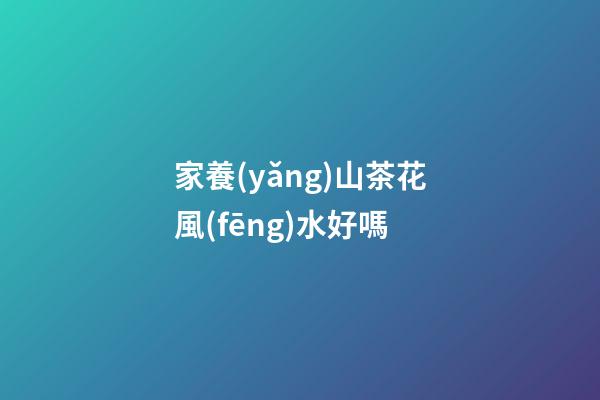 家養(yǎng)山茶花風(fēng)水好嗎