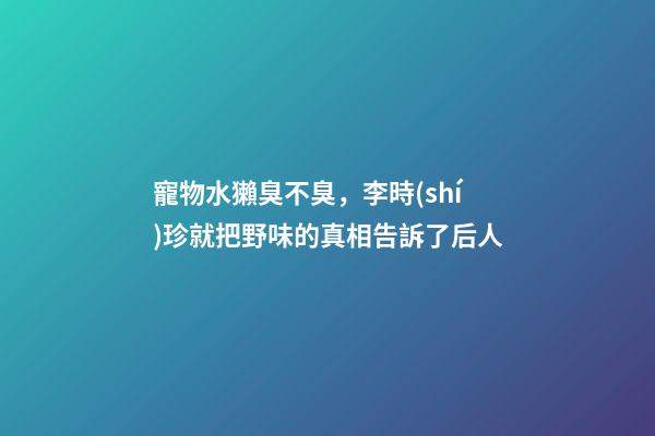 寵物水獺臭不臭，李時(shí)珍就把野味的真相告訴了后人-第1張-觀點(diǎn)-玄機(jī)派