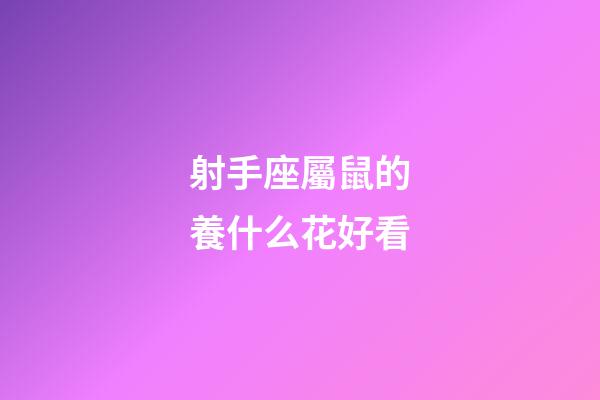 射手座屬鼠的養什么花好看-第1張-星座運勢-玄機派
