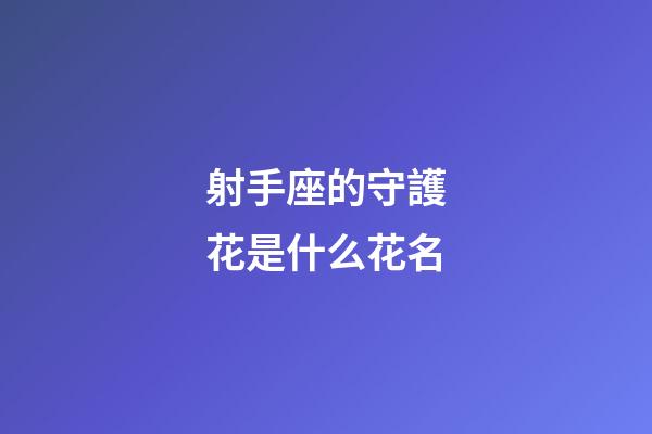 射手座的守護花是什么花名-第1張-星座運勢-玄機派