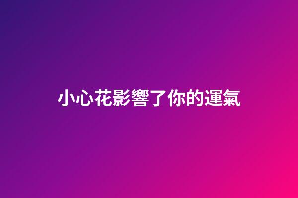小心花影響了你的運氣