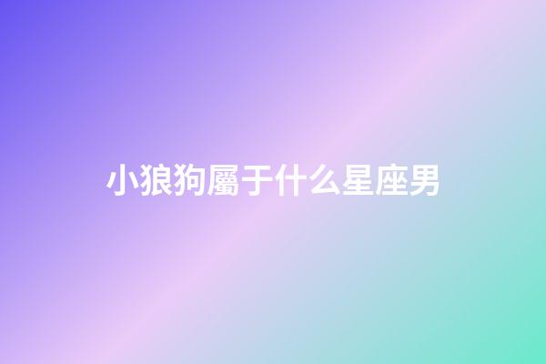 小狼狗屬于什么星座男