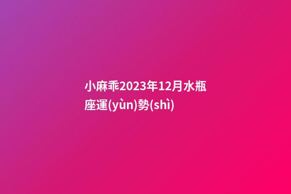 小麻乖2023年12月水瓶座運(yùn)勢(shì)-第1張-星座運(yùn)勢(shì)-玄機(jī)派