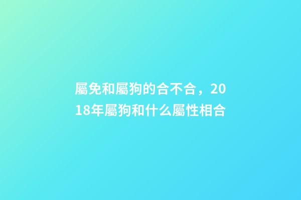 屬免和屬狗的合不合，2018年屬狗和什么屬性相合-第1張-觀點-玄機派