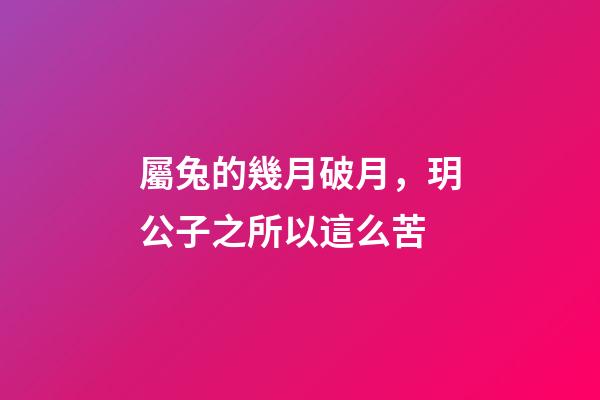 屬兔的幾月破月，玥公子之所以這么苦-第1張-觀點-玄機派
