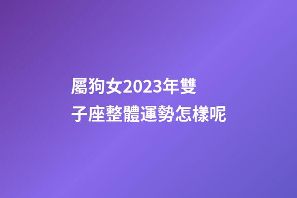 屬狗女2023年雙子座整體運勢怎樣呢-第1張-星座運勢-玄機派