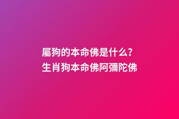 屬狗的本命佛是什么？生肖狗本命佛阿彌陀佛