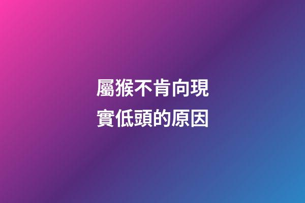 屬猴不肯向現實低頭的原因