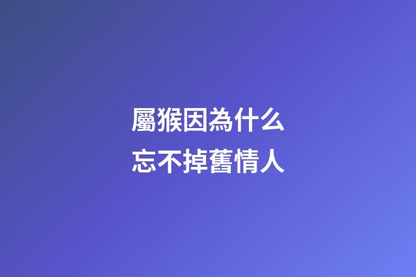 屬猴因為什么忘不掉舊情人