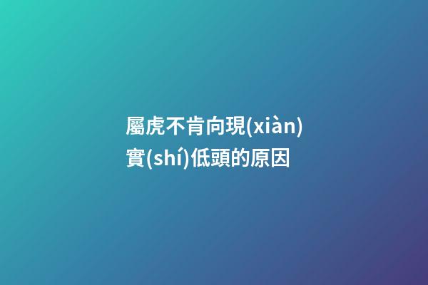 屬虎不肯向現(xiàn)實(shí)低頭的原因