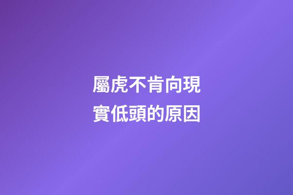 屬虎不肯向現實低頭的原因