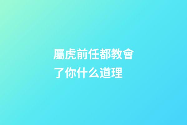 屬虎前任都教會了你什么道理