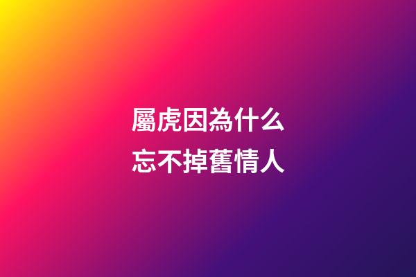 屬虎因為什么忘不掉舊情人