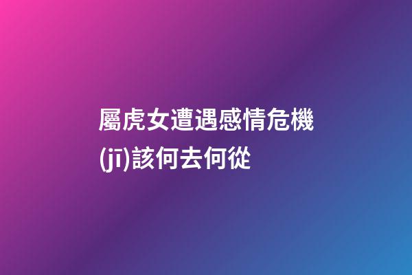 屬虎女遭遇感情危機(jī)該何去何從