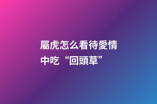 屬虎怎么看待愛情中吃“回頭草”