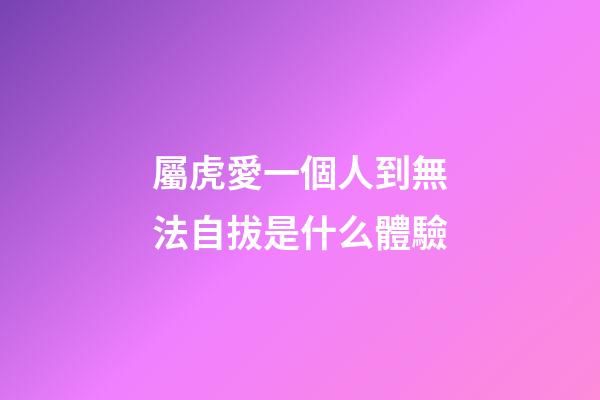 屬虎愛一個人到無法自拔是什么體驗