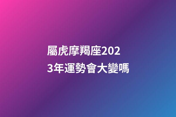 屬虎摩羯座2023年運勢會大變嗎