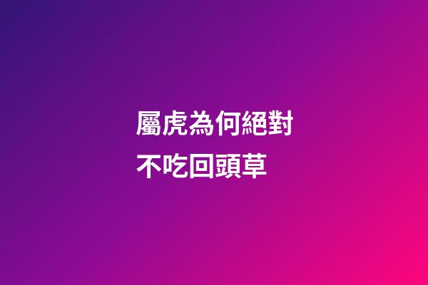 屬虎為何絕對不吃回頭草