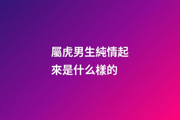 屬虎男生純情起來是什么樣的