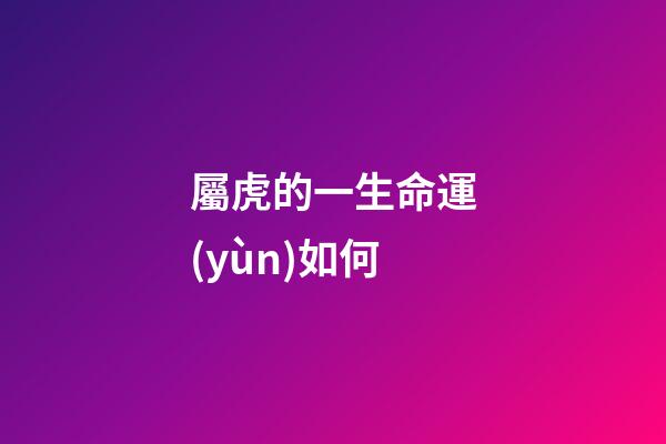 屬虎的一生命運(yùn)如何