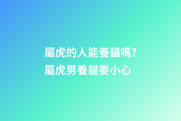 屬虎的人能養貓嗎？屬虎男養貓要小心