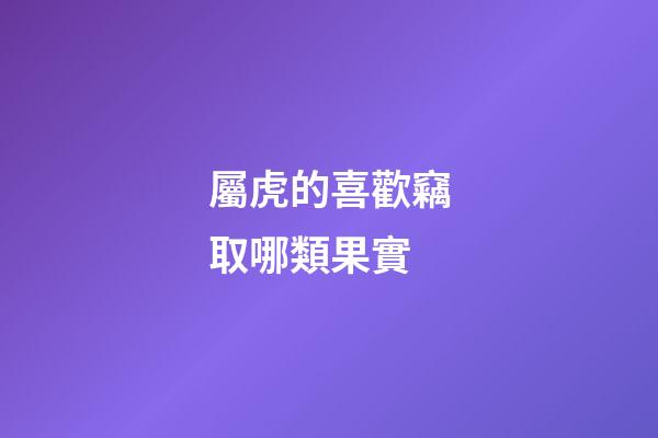 屬虎的喜歡竊取哪類果實