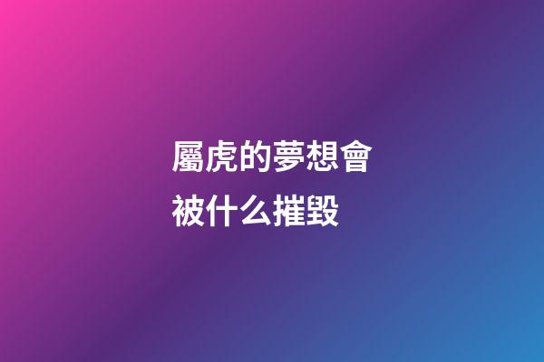屬虎的夢想會被什么摧毀