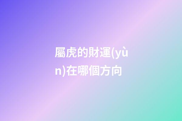 屬虎的財運(yùn)在哪個方向