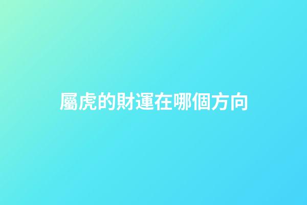 屬虎的財運在哪個方向