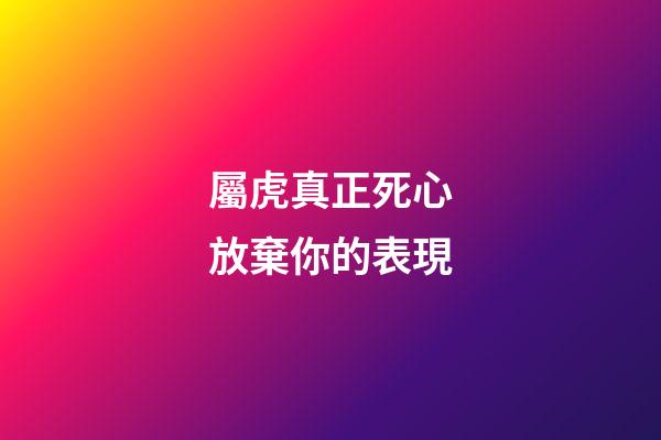 屬虎真正死心放棄你的表現