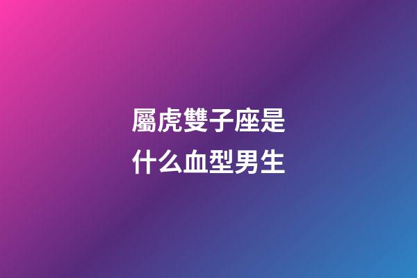 屬虎雙子座是什么血型男生-第1張-星座運勢-玄機派