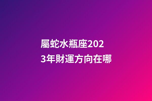 屬蛇水瓶座2023年財運方向在哪-第1張-星座運勢-玄機派