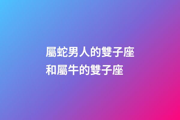 屬蛇男人的雙子座和屬牛的雙子座-第1張-星座運(yùn)勢(shì)-玄機(jī)派