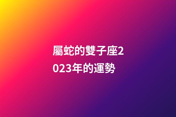屬蛇的雙子座2023年的運勢-第1張-星座運勢-玄機派