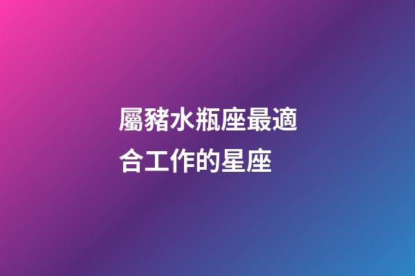 屬豬水瓶座最適合工作的星座