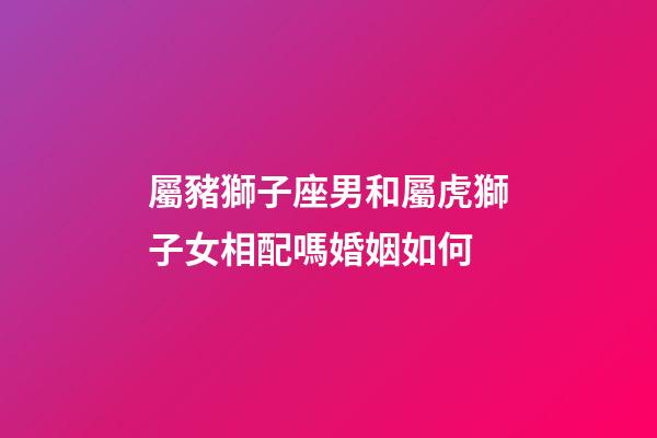 屬豬獅子座男和屬虎獅子女相配嗎婚姻如何