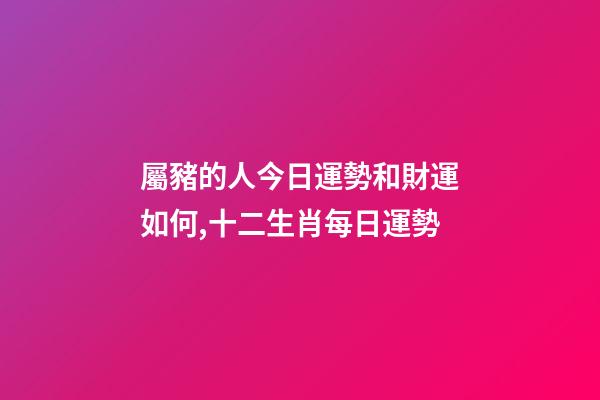 屬豬的人今日運勢和財運如何,十二生肖每日運勢-第1張-觀點-玄機派