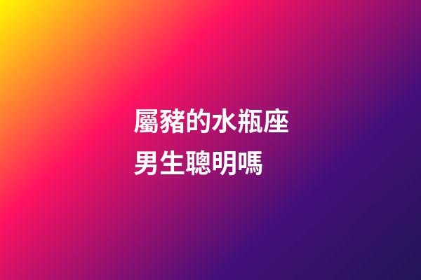 屬豬的水瓶座男生聰明嗎-第1張-星座運(yùn)勢(shì)-玄機(jī)派