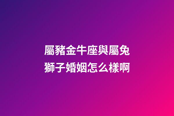 屬豬金牛座與屬兔獅子婚姻怎么樣啊