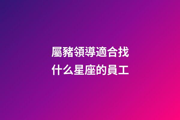 屬豬領導適合找什么星座的員工-第1張-星座運勢-玄機派