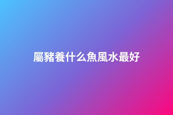 屬豬養什么魚風水最好